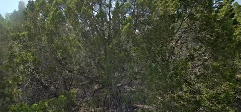 8104 Aztec Trl, Leander, TX 78645