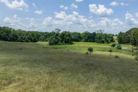 Other - 1852 County Road 202, Centerville, TX 75833 photo 11 of 17