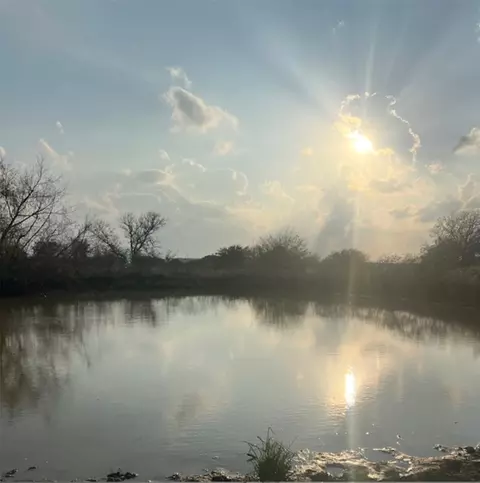 28 Acres Shaws Bend Rd, Columbus, TX 78934
