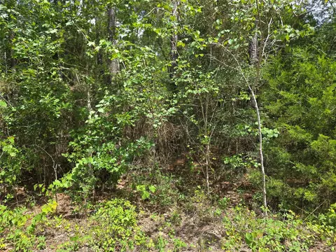 tbd Tree Line Loop, Anderson, TX 77830 photo 2