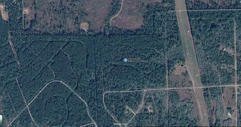 tbd Tree Line Loop, Anderson, TX 77830 photo 3