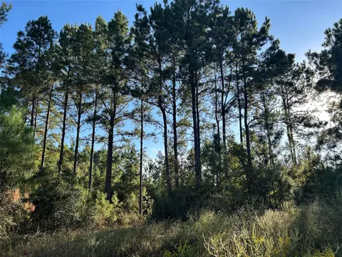 11 Farm To Market 230, Lovelady, TX 77854