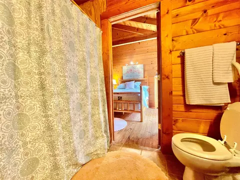 Bath - 1100 Bartram Trace Rd, Rayle, GA 30660 photo 3 of 6