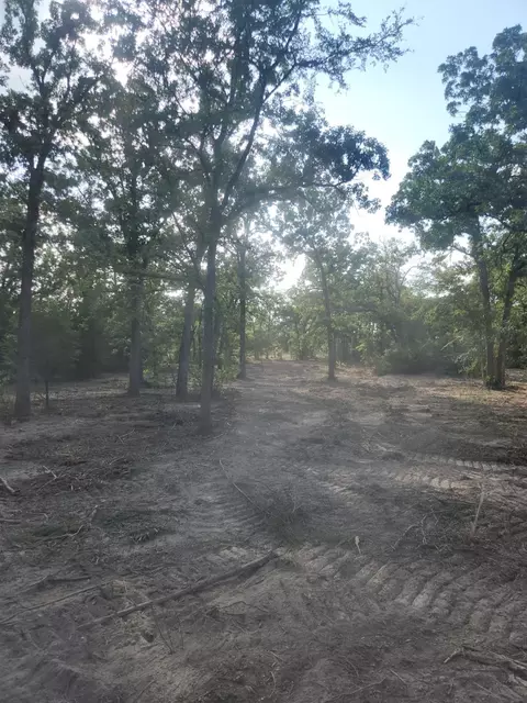 13319 Tyler Ln, Franklin, TX 77856