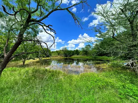 1127 Lcr 607, Groesbeck, TX 76642