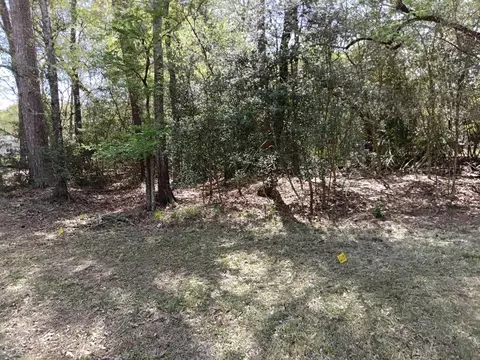 1004 White River Rd, Conroe, TX 77316