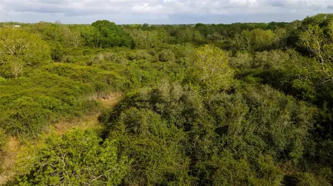 000 County Road 464, Blessing, TX 77419 photo 3