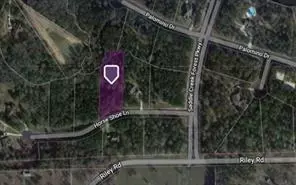 28200 Horse Shoe Ln, Waller, TX 77484