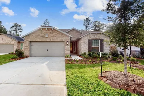 317 Royal Lily Trl, Montgomery, TX 77316