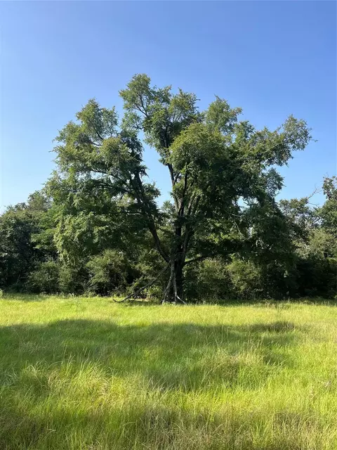 Other - Na Cr 320, Centerville, TX 75833 photo 5 of 11