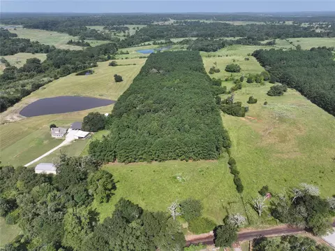 View/Area - Na Cr 320, Centerville, TX 75833 photo 1 of 1