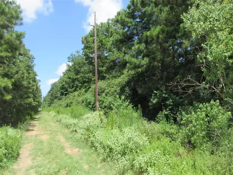 00 Thistle Down Spur Rd, Cypress, TX 77429 photo 5