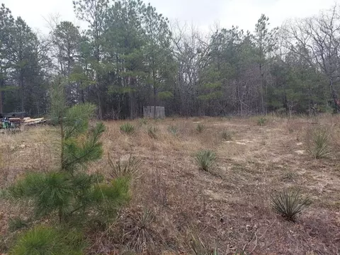 1115 Hickory Dr, Harleton, TX 75651