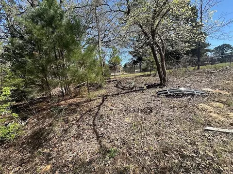 1115 Hickory Dr, Harleton, TX 75651 photo 4