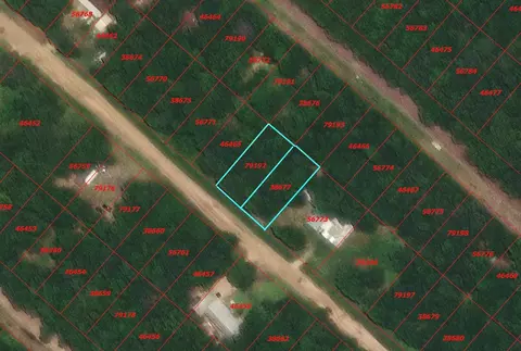 tbd Wolf Run, Livingston, TX 77351