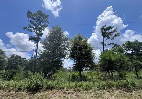 426 County Road 1420, Warren, TX 77664