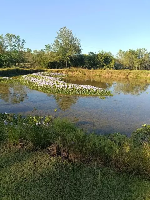 18106 Domino Rd, Waller, TX 77484