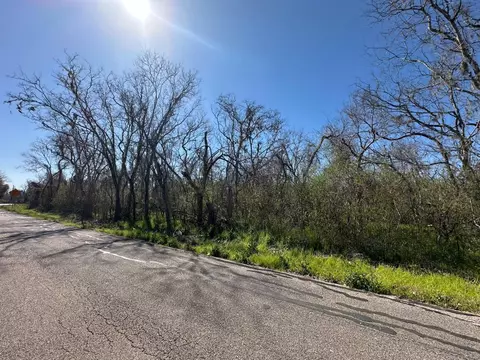 0 Tbd Cr 703, West Columbia, TX 77486