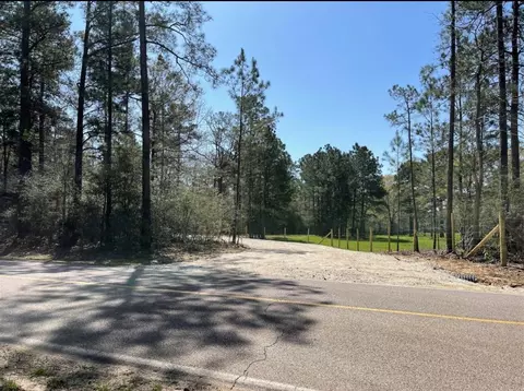 17040 E William Rd, Conroe, TX 77303