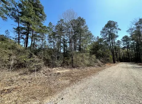 17040 E William Rd, Conroe, TX 77303 photo 2