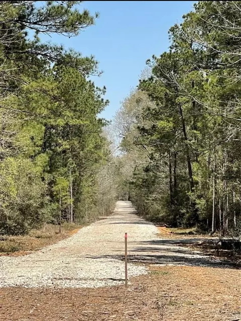 17040 E William Rd, Conroe, TX 77303 photo 6