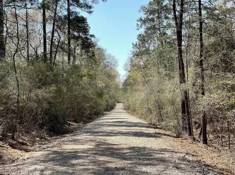 17040 E William Rd, Conroe, TX 77303 photo 4