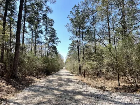 17040 E William Rd, Conroe, TX 77303 photo 3