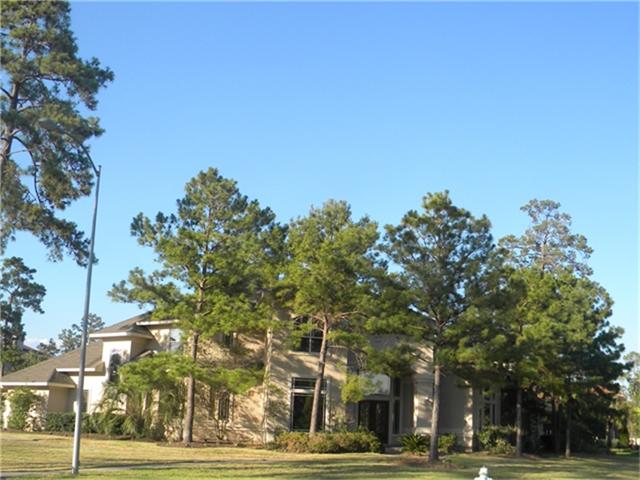 25602 Eagle Chase, Spring, TX 77389 photo 1