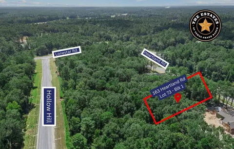 163 Heartland Rd, New Waverly, TX 77358