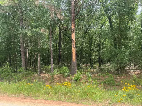 0 Oak Bnd, Cleveland, TX 77328