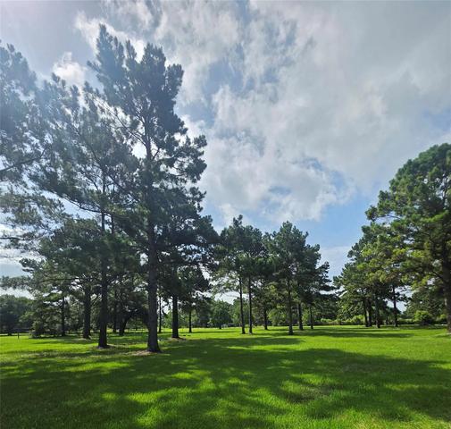 910 Sundown Meadows St, Crosby, TX 77532