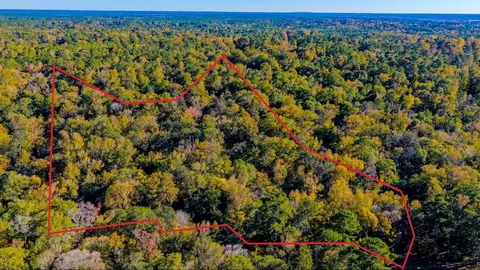 tbd Rolling Ridge Rd, Goodrich, TX 77335