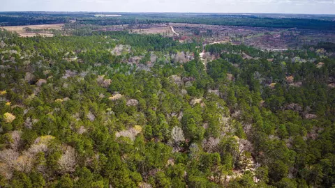 tbd Tract 5 Triple Creek Loop, Livingston, TX 77351