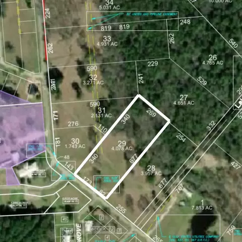 lot29 Lake Livingston Ln, Trinity, TX 75862