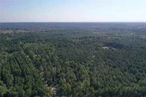 Tract 4 Trinity Lady Park Road, Trinity, TX 75862 photo 2
