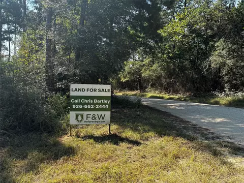 Tract 4 Trinity Lady Park Road, Trinity, TX 75862 photo 6