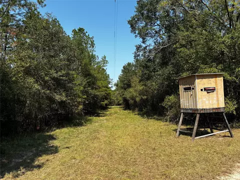 Tract 4 Trinity Lady Park Road, Trinity, TX 75862 photo 4