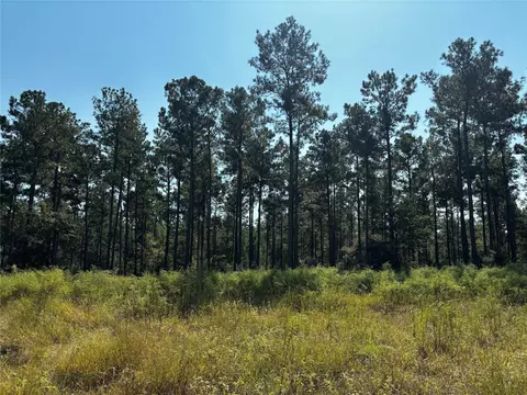 Tract 4 Trinity Lady Park Road, Trinity, TX 75862 photo 7