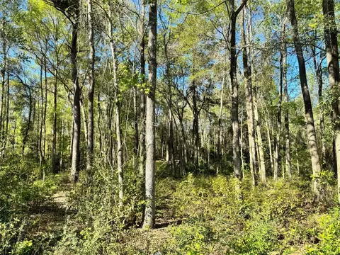 tbd Railroad Ave, Shepherd, TX 77371