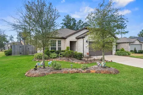 305 Royal Lily Trl, Montgomery, TX 77316