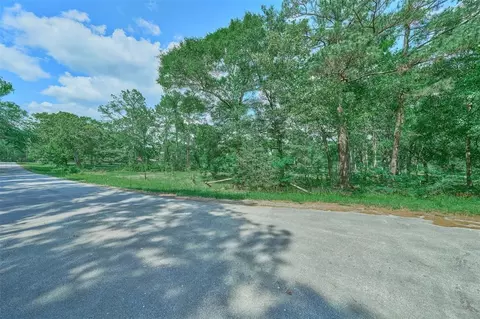 27592 S Log Cabin Rd, Montgomery, TX 77356