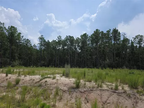 135 Rayburn Reserve Dr, Jasper, TX 75931