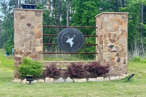 276 Exploration Rd, New Waverly, TX 77358