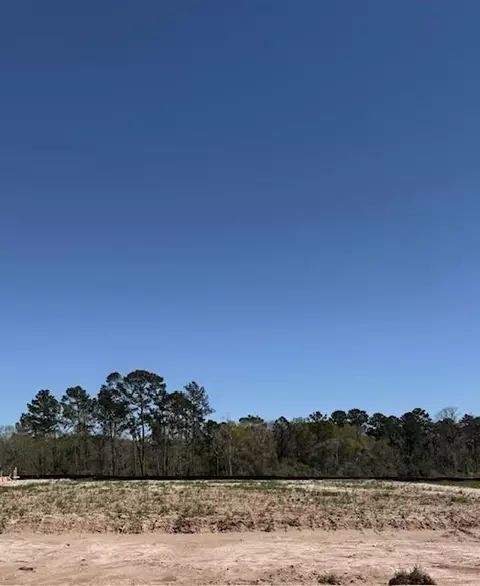 32126 Pond Pine Ct, Conroe, TX 77385 photo 7