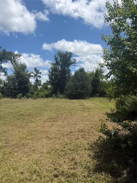 199 Mulberry Cv, Onalaska, TX 77360