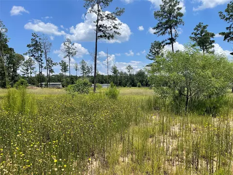 20035 Kincaid Dr, Conroe, TX 77306 photo 7