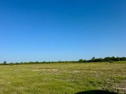 0000 Fm 1462, Rosharon, TX 77583