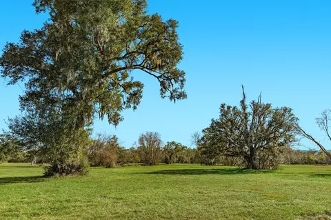 1119 Indian Rdg, Rosharon, TX 77583