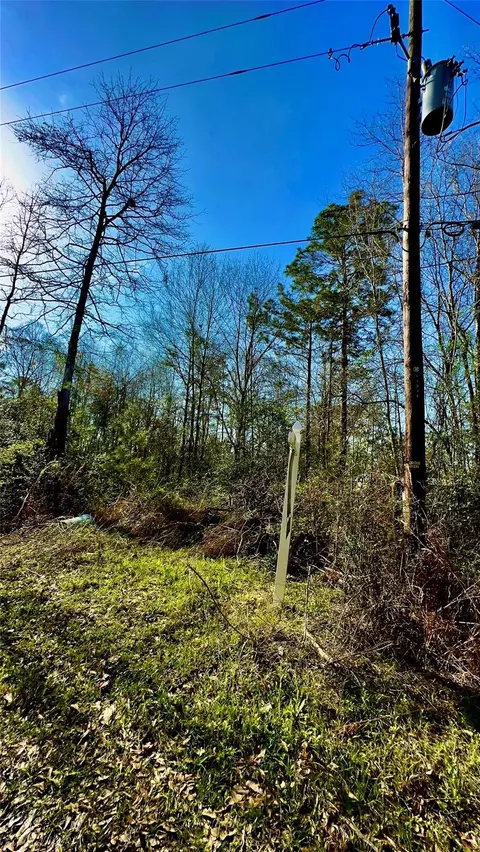 26992 Diamond C, Montgomery, TX 77372