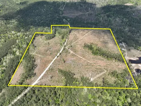 000 County Road 2834, Colmesneil, TX 75938
